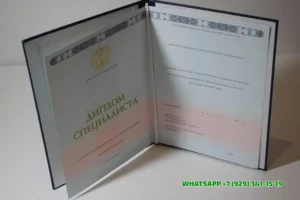 Купить диплом Дзержинского филиала РАНХиГС — Российской академии народного хозяйства и государственной службы при Президенте РФ в Котельниках